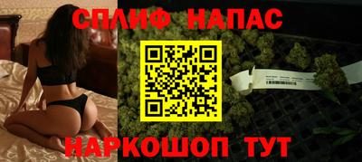 сатива Сланцы