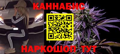 сатива Сланцы