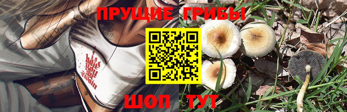 Петропавловск-Камчатский  Галлюциногенные грибы Psilocybe  дарнет шоп  Вход с VPN  Галлюциногенные грибы Psilocybe 