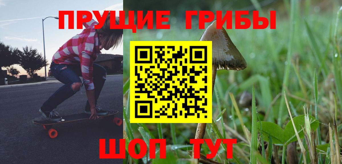 Псилоцибиновые грибы Psilocybe Петропавловск-Камчатский